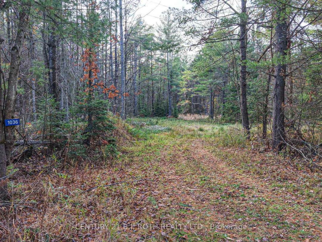 1036 HOPKINS ROAD, Gravenhurst (Ryde)