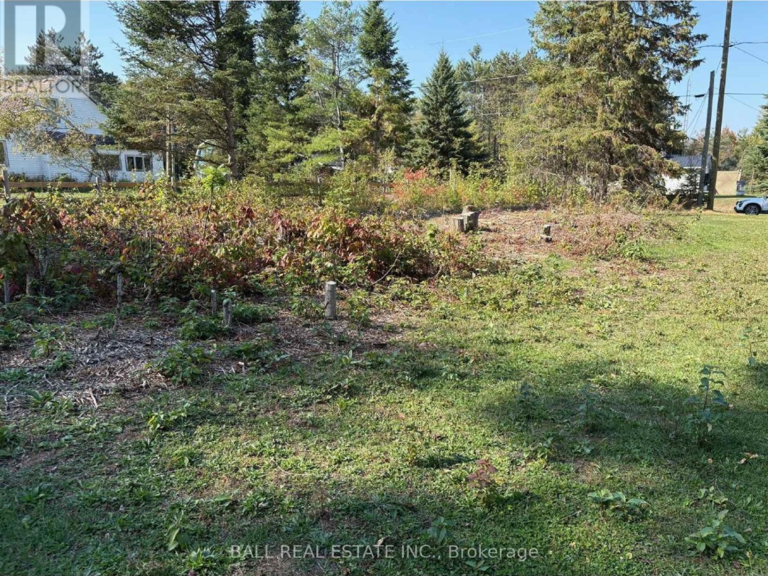 0 THE AVENUE, Kawartha Lakes (Kinmount)