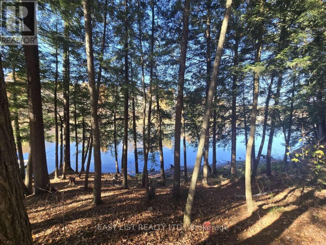 LOT 14 LAIDLAW AVENUE, Severn River