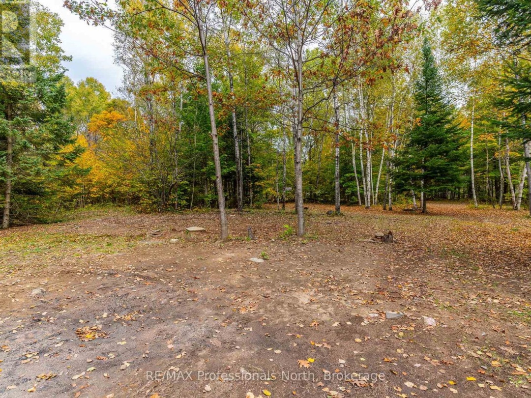 1600 BOBCAYGEON ROAD, Minden Hills (Minden)