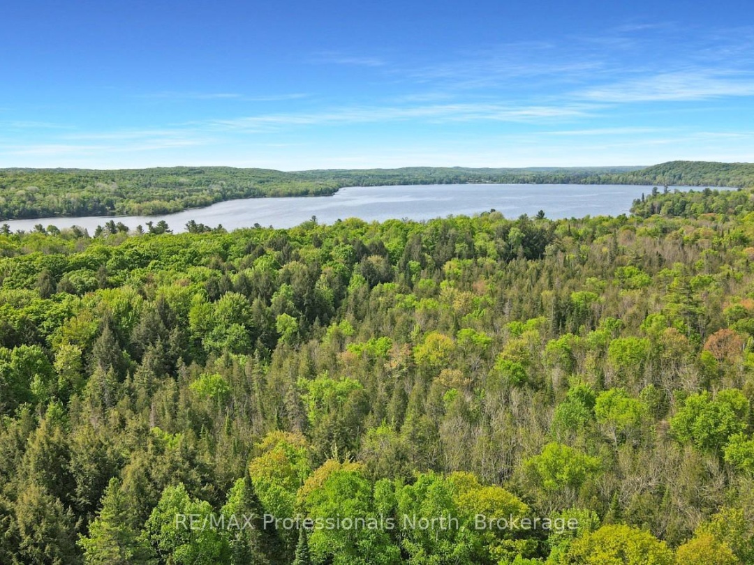 2473 North Shore Road, Algonquin Highlands (Stanhope)
