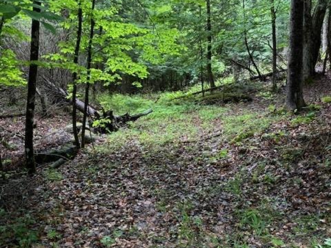 LOT 70 25TH LINE, Maple Lake
