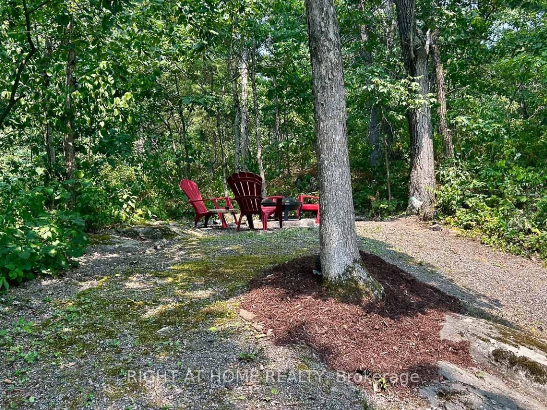 29 MAPLE RIDGE - 1336 SOUTH MORRISON LAKE ROAD, Severn River
