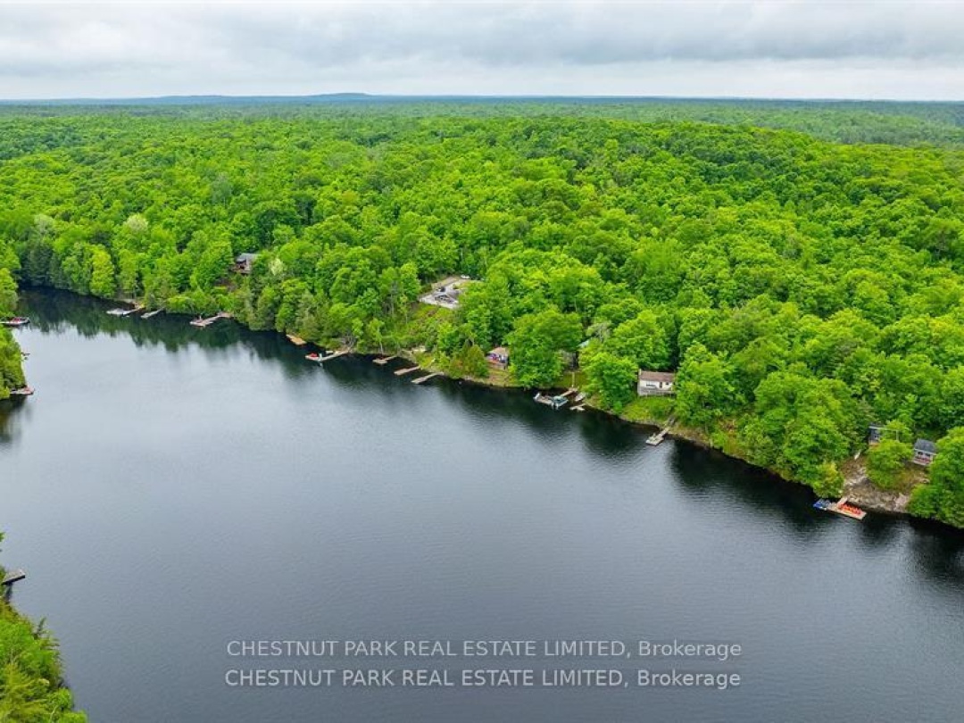 1601 CLAUDE BROWN ROAD, Bob Lake