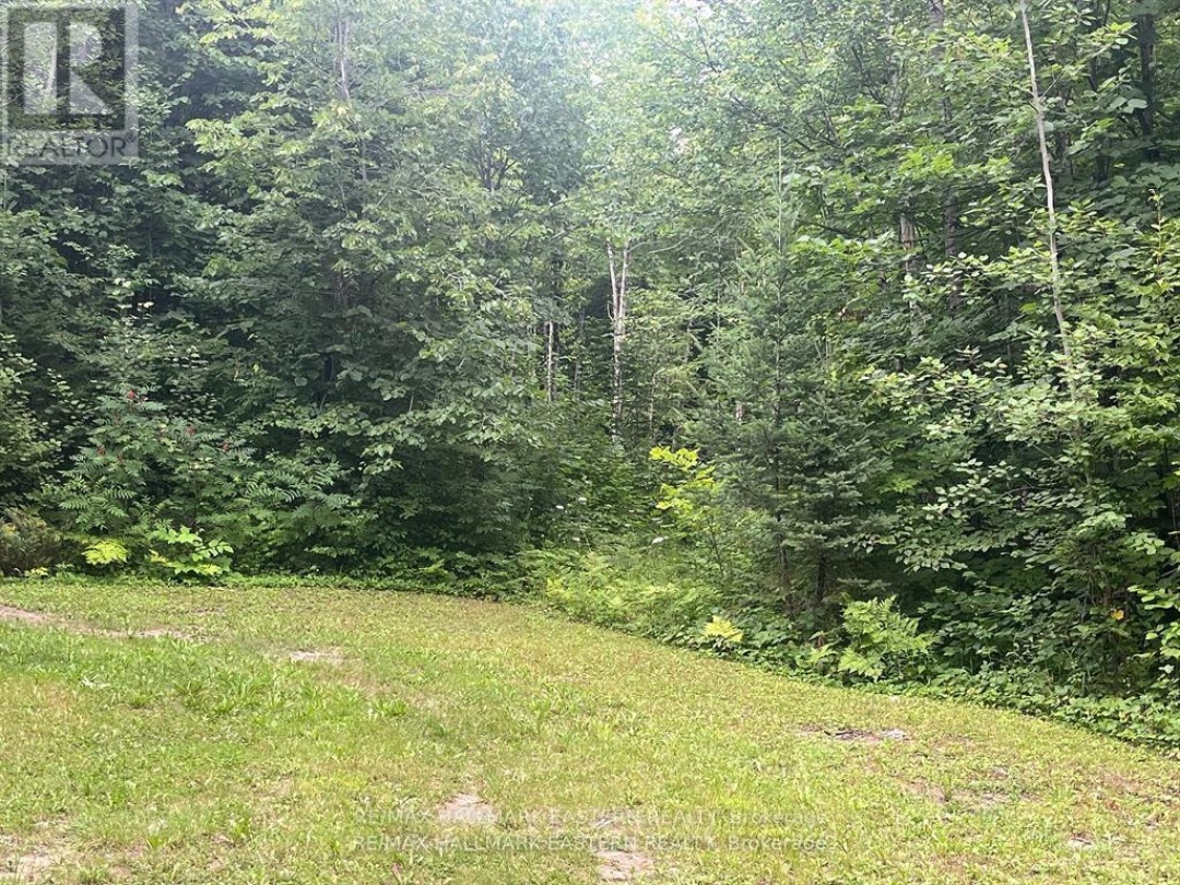 132 MARITIME ROAD, Kawartha Lakes (Bexley)