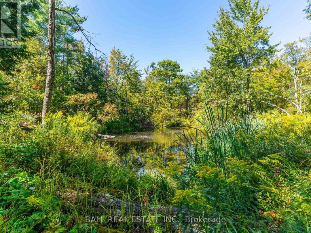 221 EDWINA DRIVE, Trent Lakes