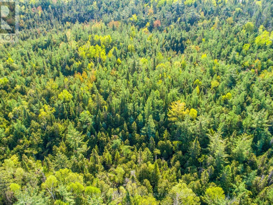 LOT 3 BLACK SCHOOL ROAD, Kawartha Lakes (Mariposa)