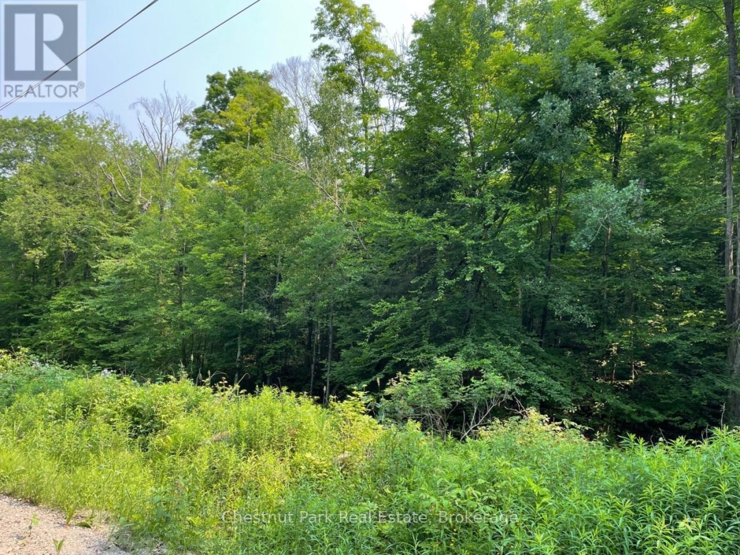 0 COLEMAN LAKE ROAD, Dysart et al (Guilford)