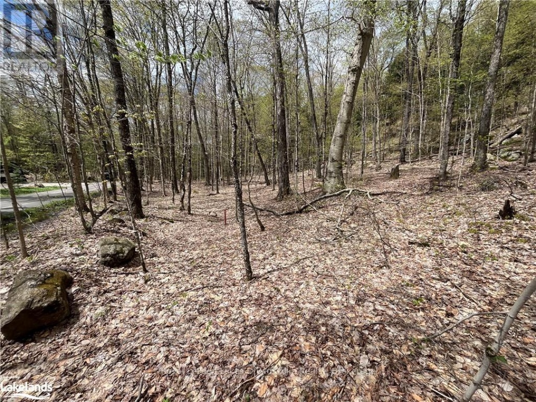 LOT 133 BRENNAN CIRCLE, Lake Vernon