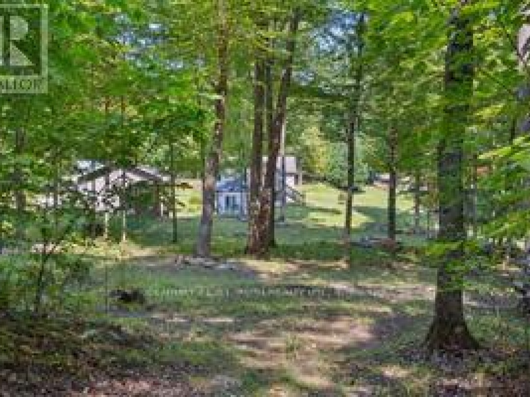 1024 Dennison Road, Minden Hills