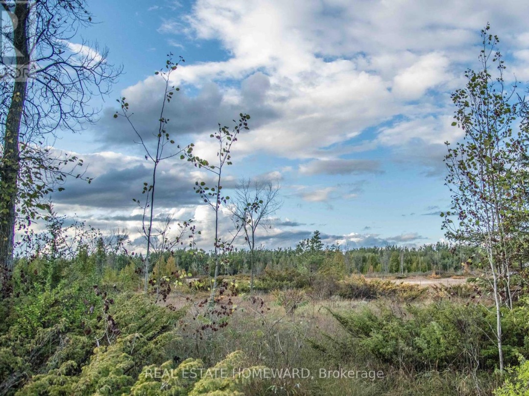 LOT 256 MCGUIRE BEACH ROAD, Canal Lake