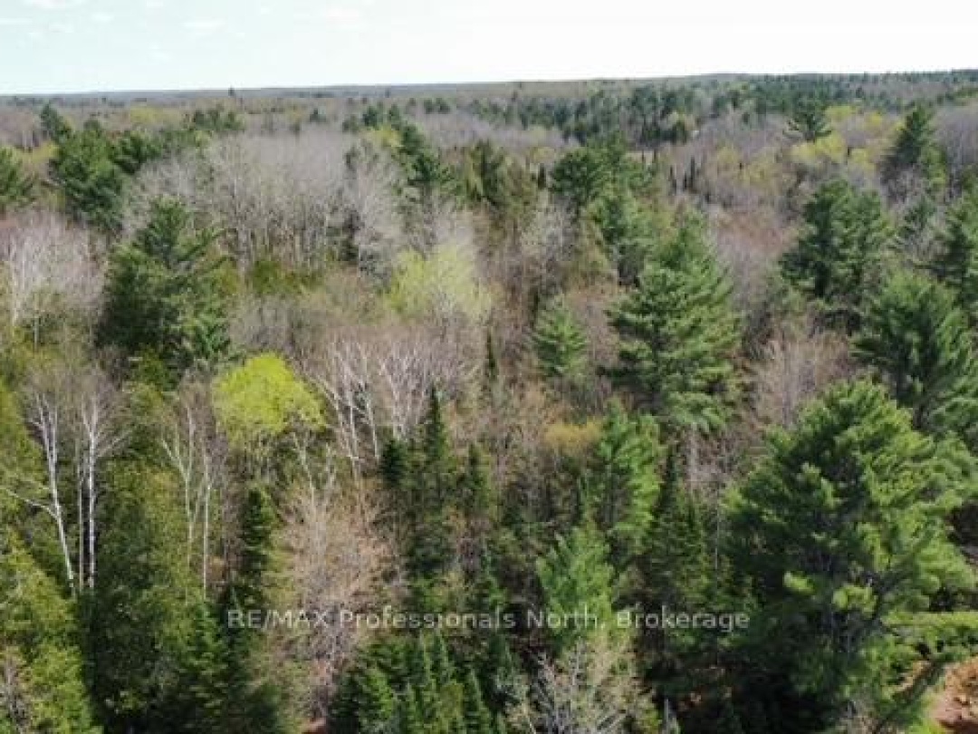 0 BOBCAYGEON ROAD, Minden Hills (Hindon)