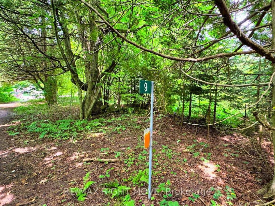 9 BEACH ROAD, Bass Lake