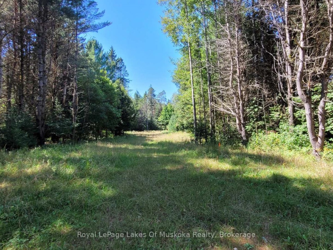 1059 ABLETT COURT, Algonquin Highlands (Stanhope)