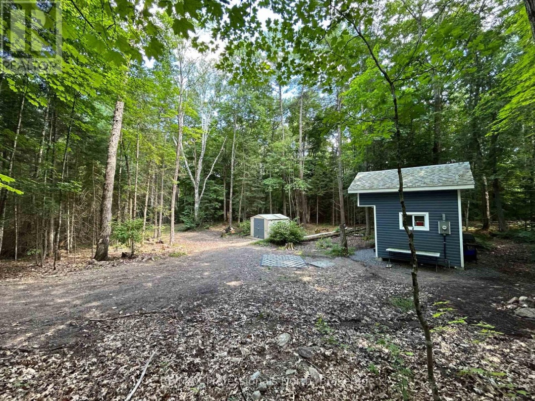 1124 LITTLE HAWK LAKE ROAD, Algonquin Highlands (Stanhope)