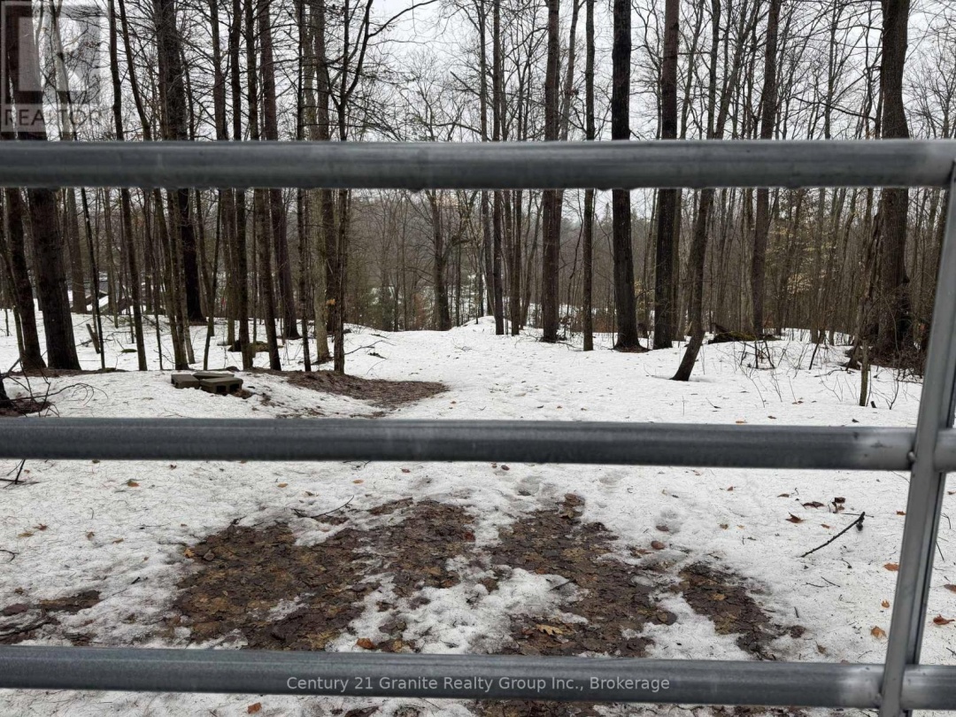 1037 ROTUNDA DRIVE, Contau Lake