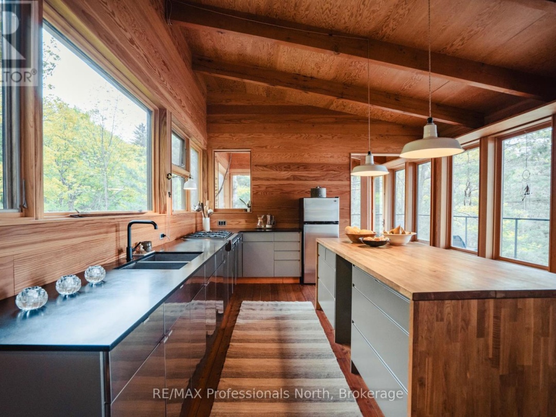 11405 DRAG LAKE EAST SHORE, 