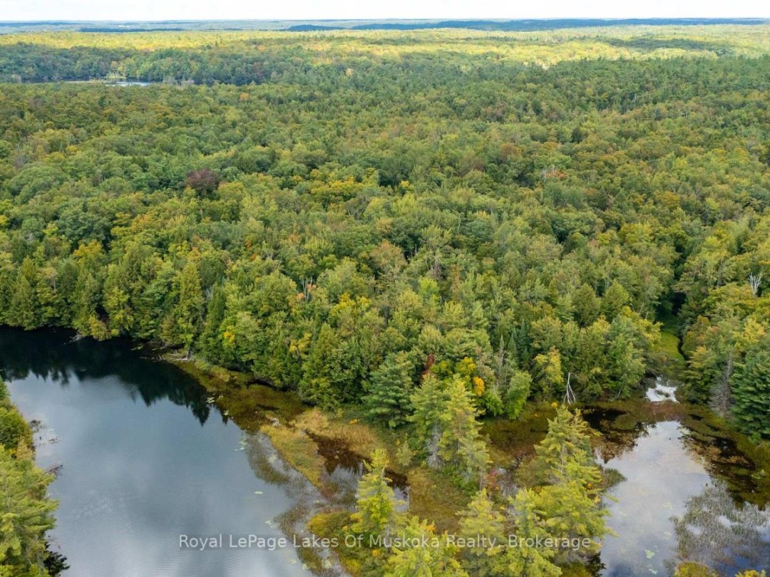0 MUSKOKA RIVER, 