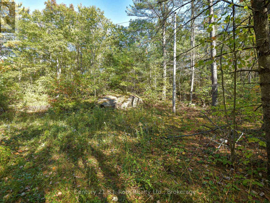 1112 SAM COOK ROAD, Little Sunny Lake