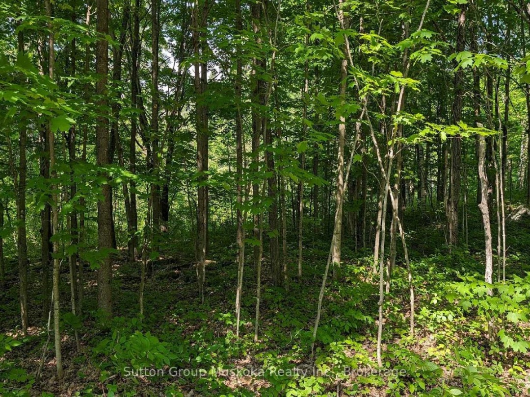 LOT 2 TALLY-HO WINTER PARK ROAD, 