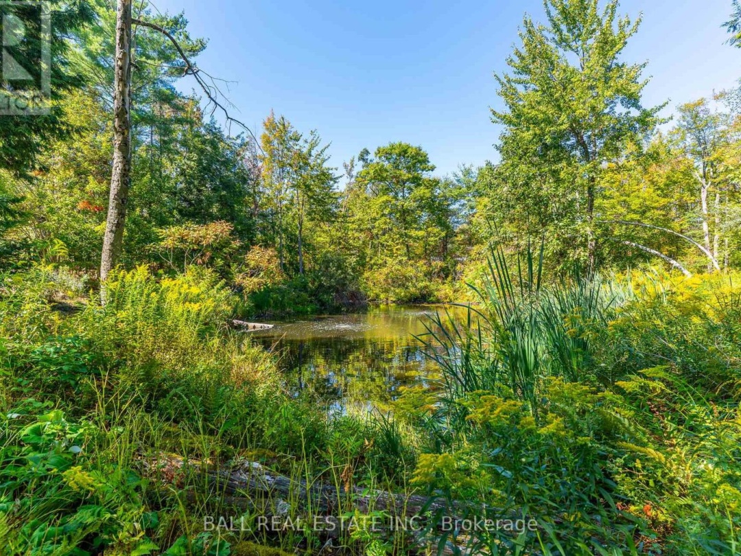 221 EDWINA DRIVE, 