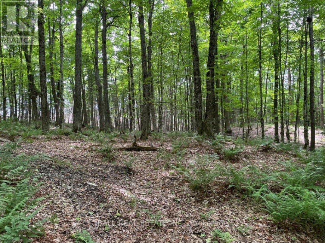 1350 HALIBURTON LAKE RD, Dysart et al (Dysart)