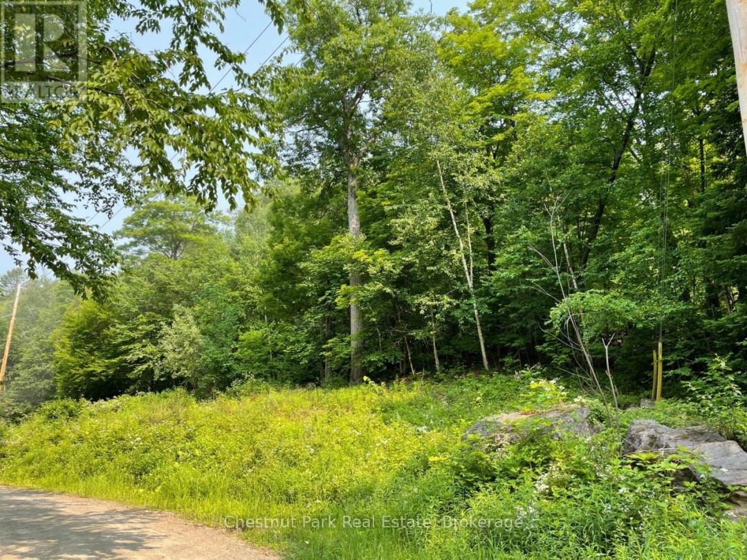 0 COLEMAN LAKE ROAD, Dysart et al (Guilford)