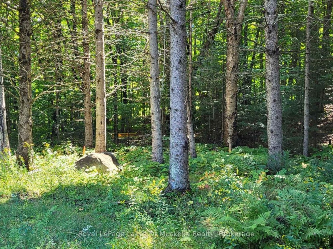 1059 ABLETT COURT, Algonquin Highlands (Stanhope)