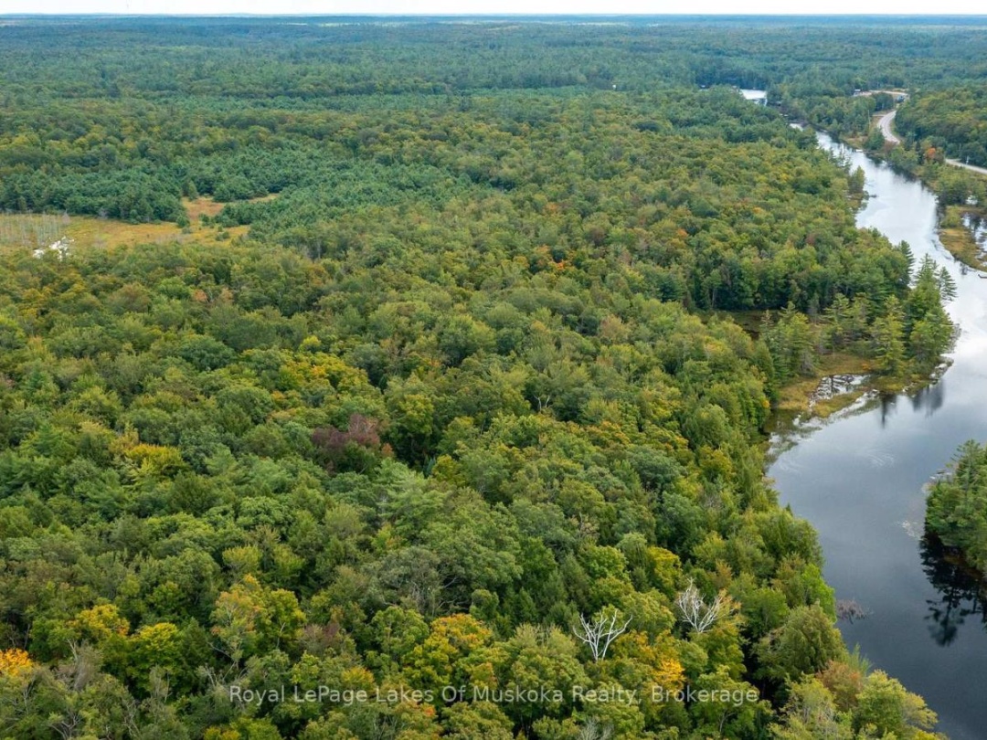 0 MUSKOKA RIVER, 