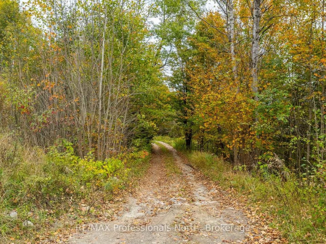 1600 BOBCAYGEON ROAD, Minden Hills (Minden)