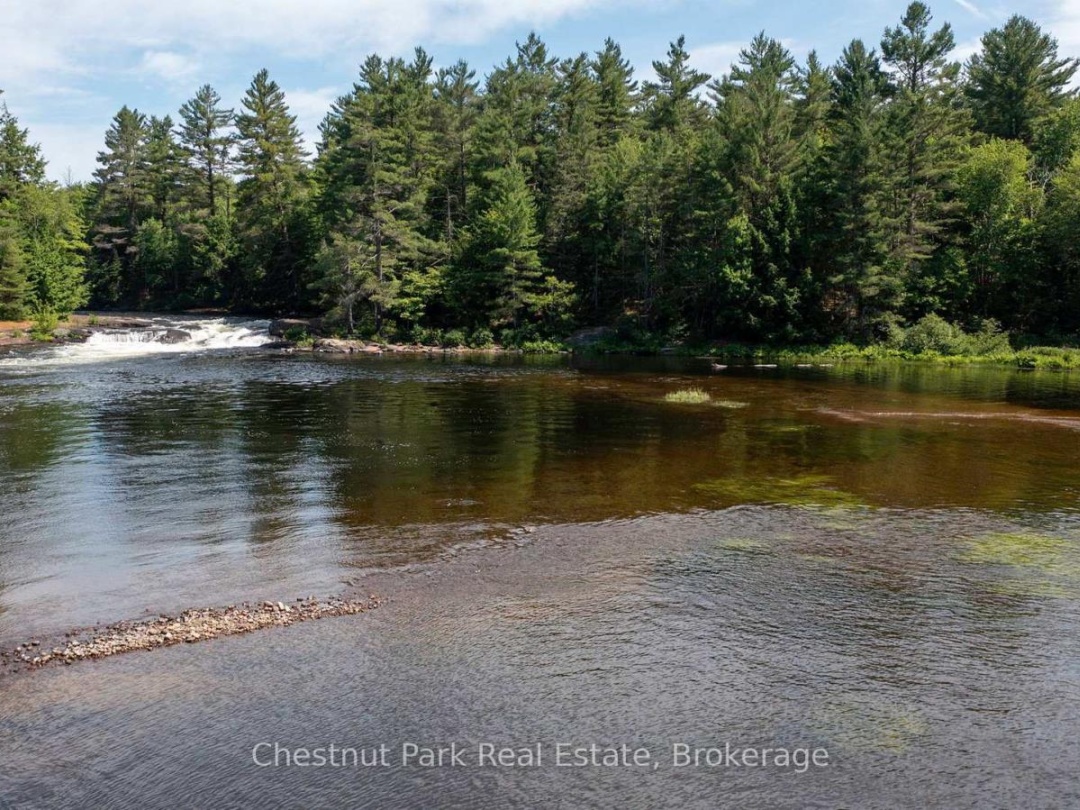 1277 SHERWOOD FOREST ROAD, 