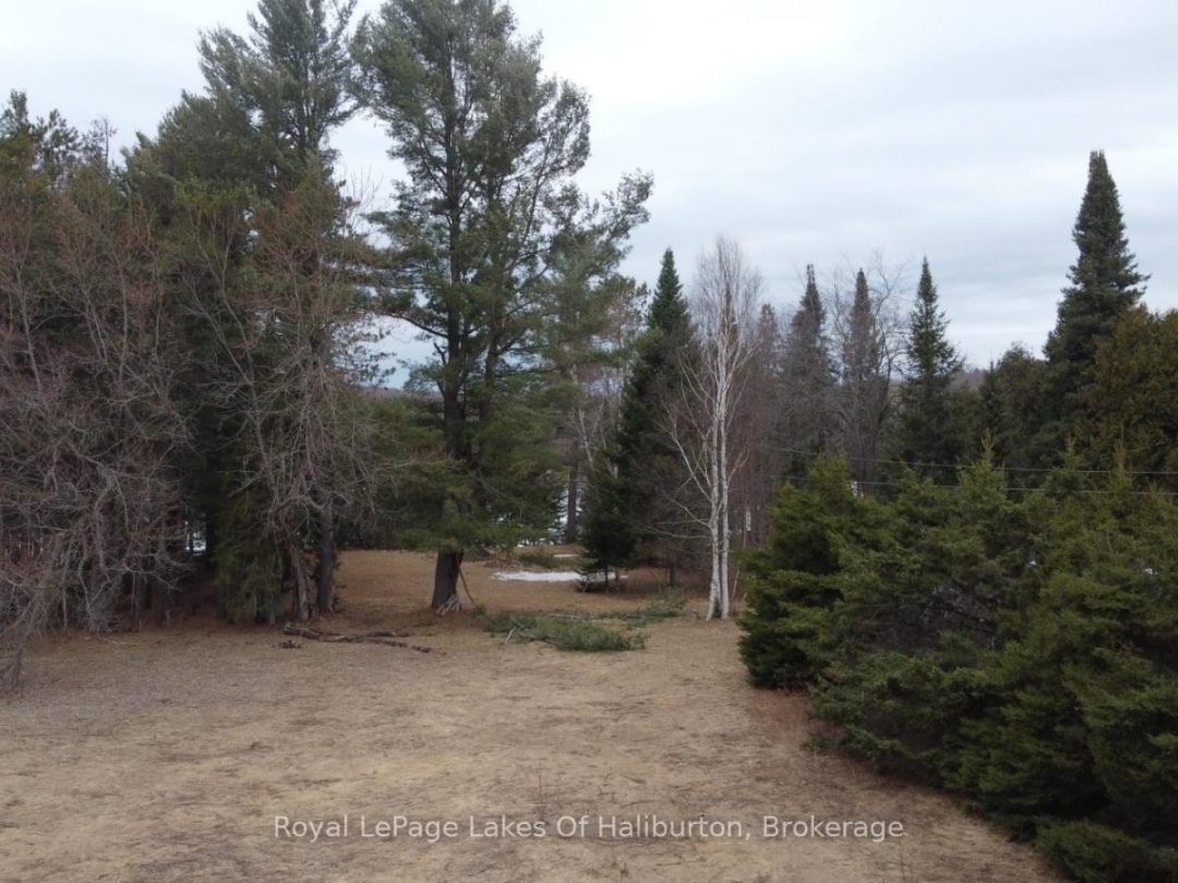 0 KASHAGAWIGAMOG LAKE ROAD, 