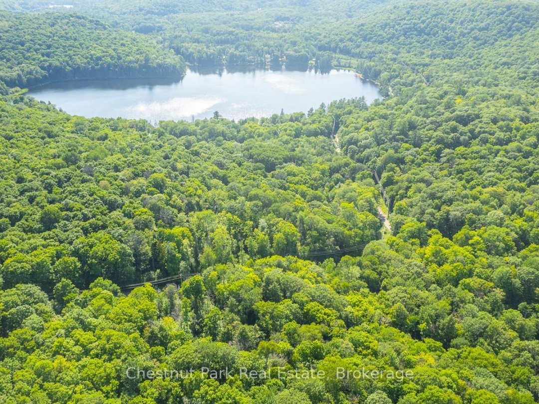 PT 1 COLEMAN LAKE ROAD, 
