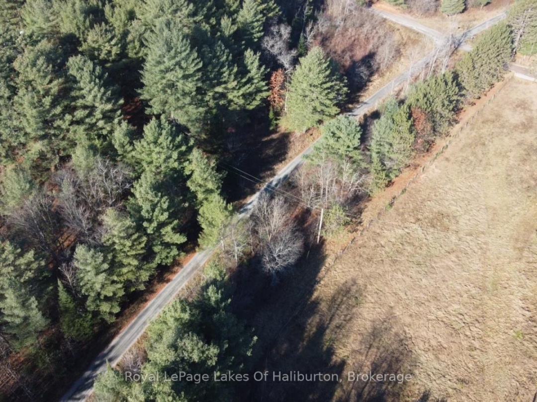 1036 PRIVET DRIVE, Burnt River