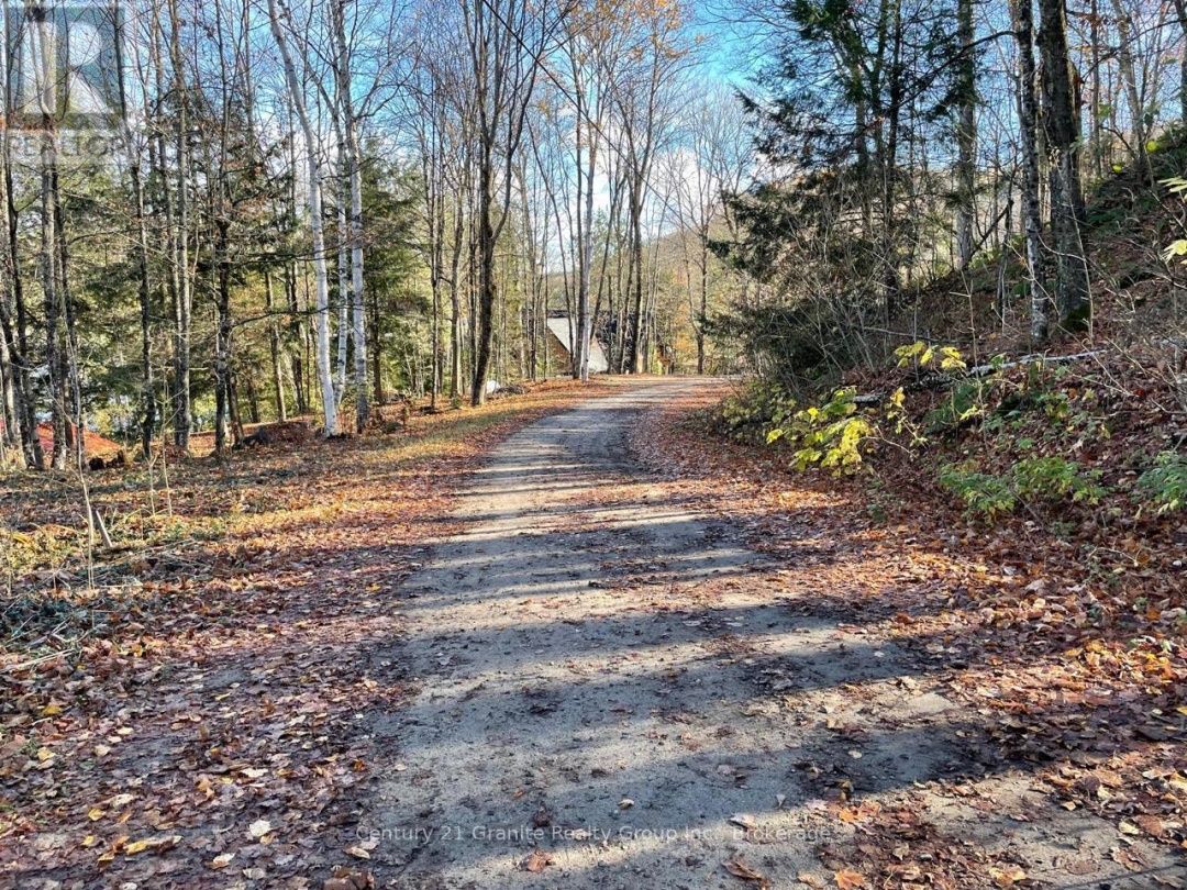 1038 BROKEN PADDLE ROAD, Miskwabi Lake