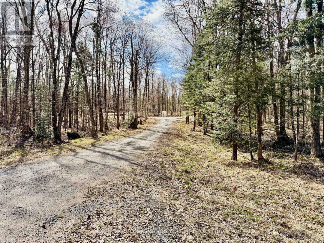 2388 DOE LAKE ROAD, Gravenhurst (Ryde)