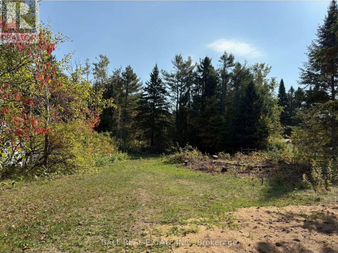 0 THE AVENUE, Kawartha Lakes (Kinmount)