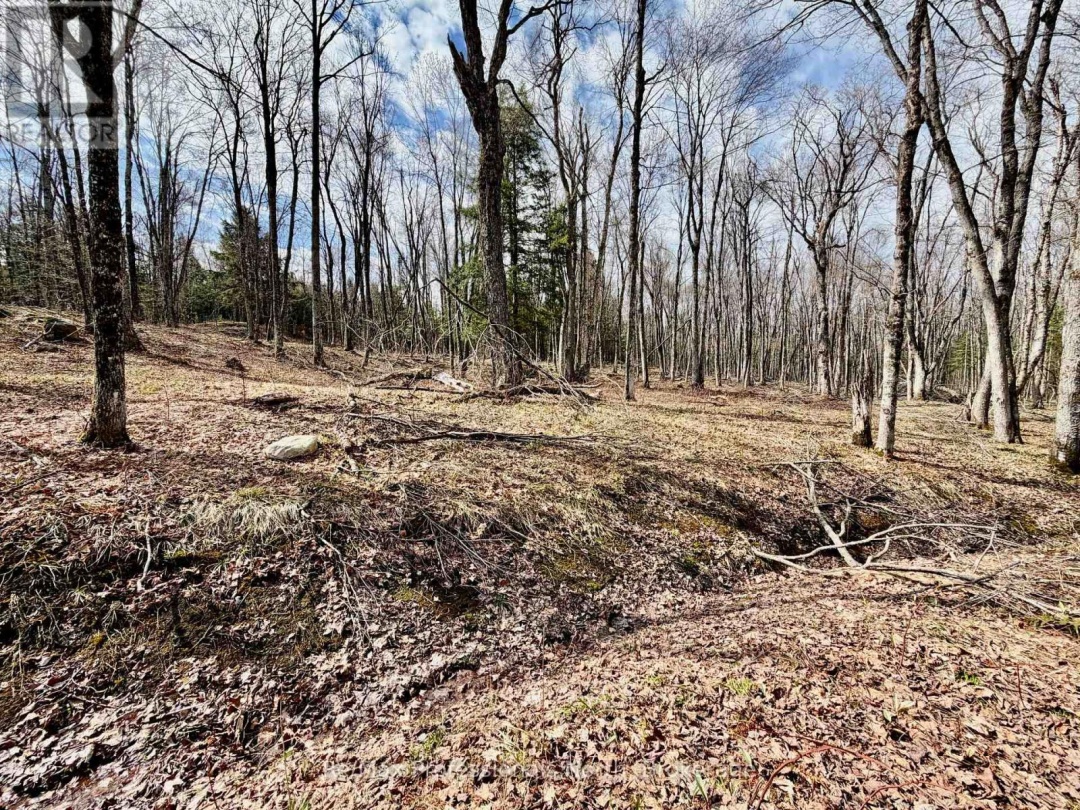2388 DOE LAKE ROAD, Gravenhurst (Ryde)