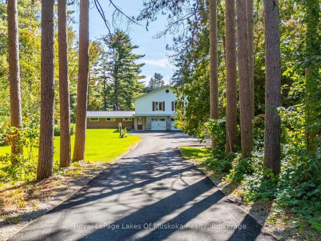 50 BROFOCO DRIVE, 