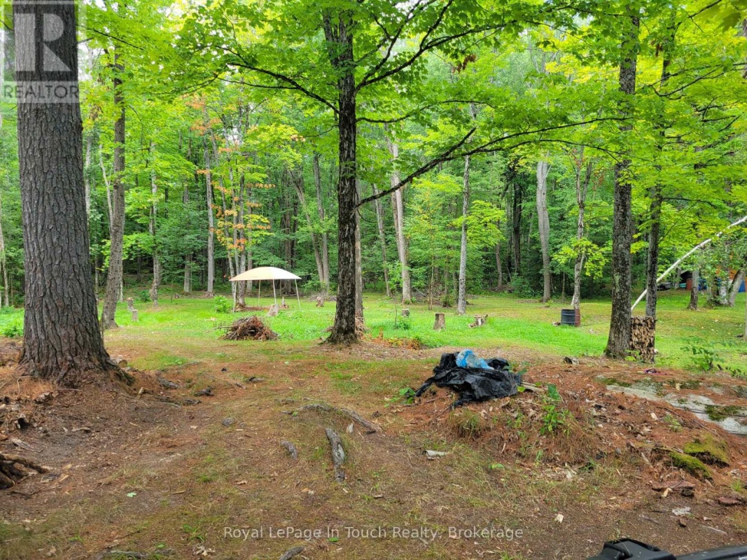 20 SR404 SEVERN RIVER, Wood Bay