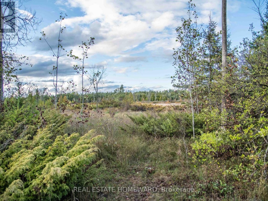 254-256 MCGUIRE BEACH ROAD, Kawartha Lakes (Carden)