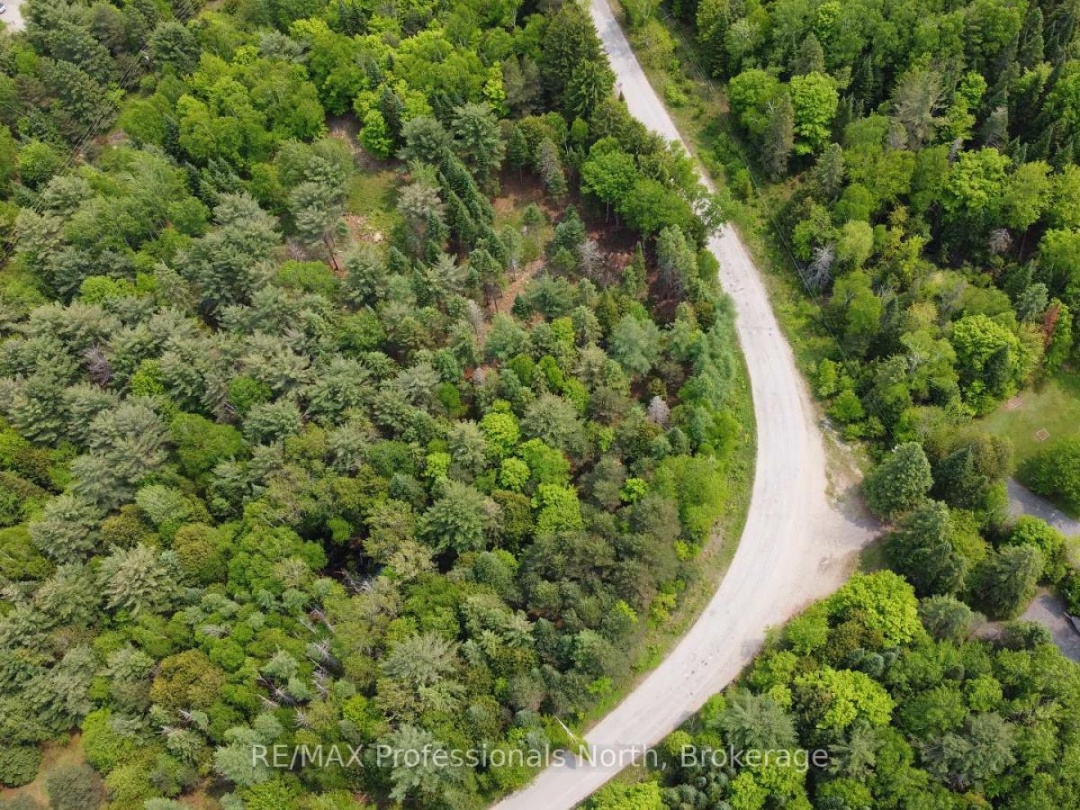 1897 BLAIRHAMPTON ROAD, Minden Hills (Minden)