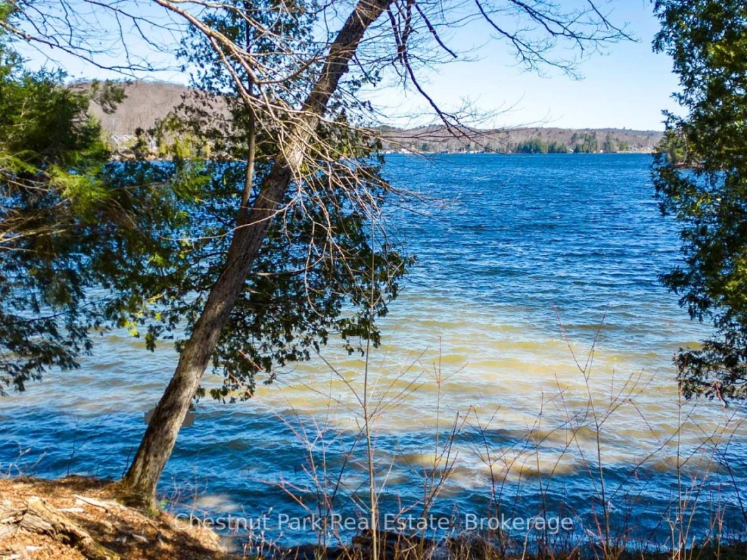 1091 OSBORNE POINT ROAD, 
