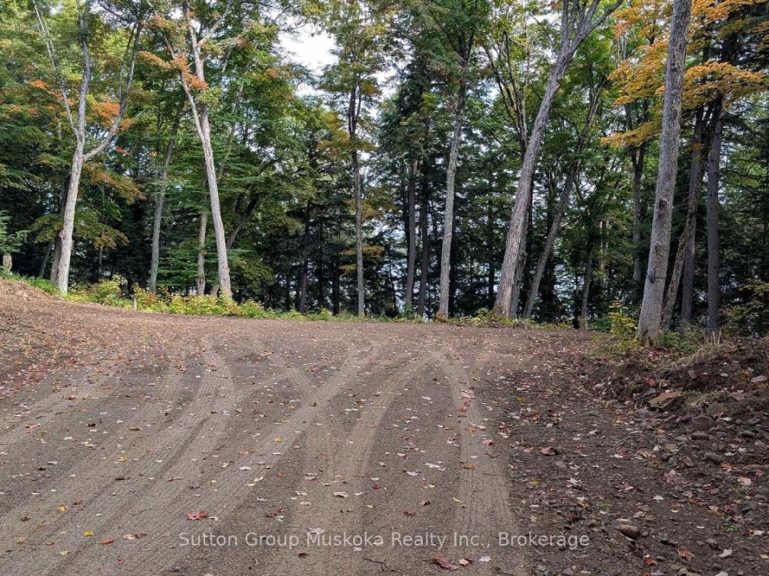 LOT 1 ESIG LANE, Rebecca Lake
