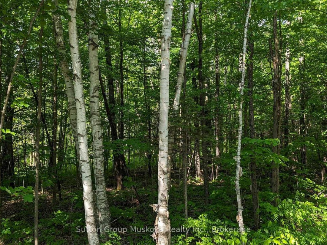 LOT 1 TALLY-HO WINTER PARK ROAD, 