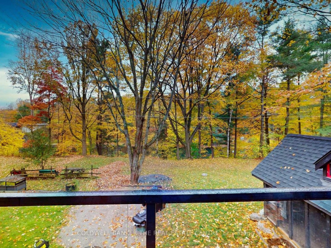 2562 NORTON ROAD, 