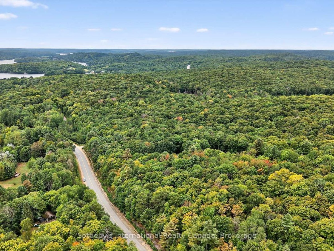 1132 LIMBERLOST ROAD, 