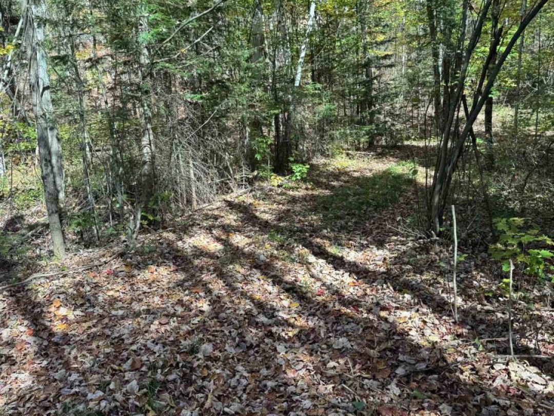 0000 KOSHLONG LAKE ROAD, 