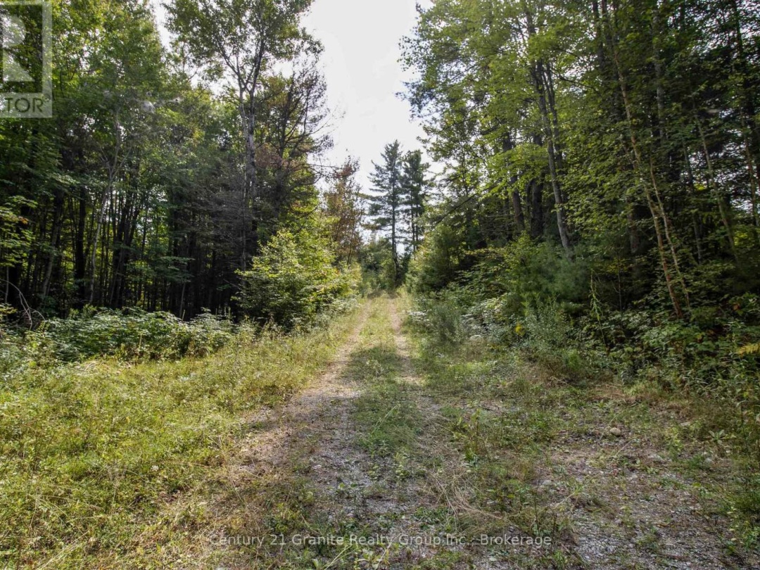 4729 COUNTY ROAD 121, Minden Hills (Lutterworth)