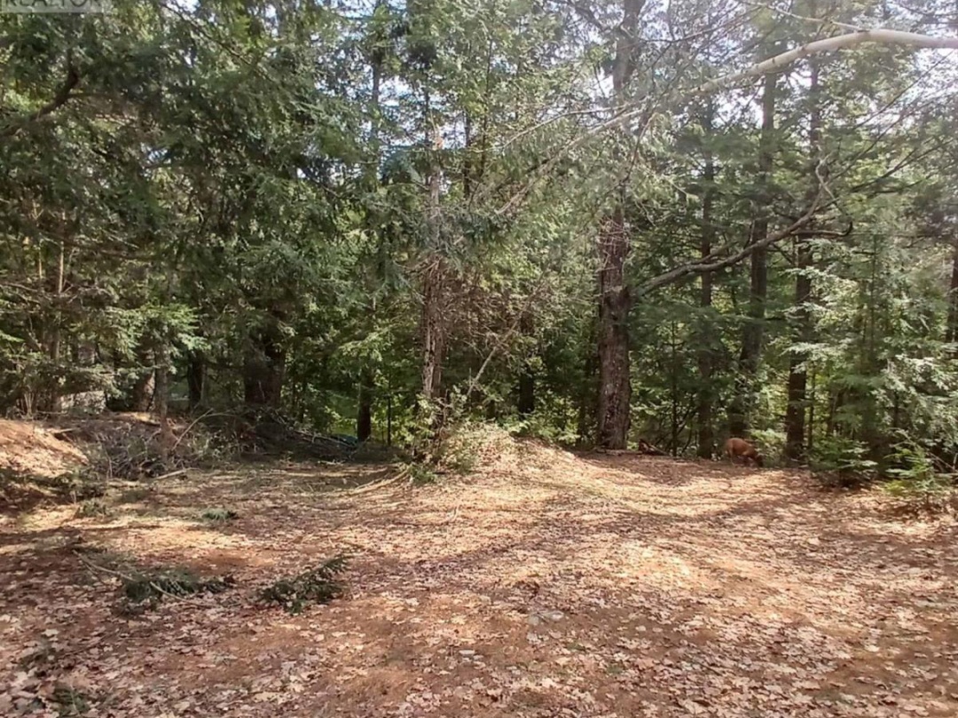 0 CONCESSION 3 ROAD, 